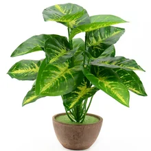 1 bouquet 28 CM/48 CM soie artificielle vert Scindapsus doré feuille pour décorations de mariage faux bonsaï arbre plante accessoires(China)