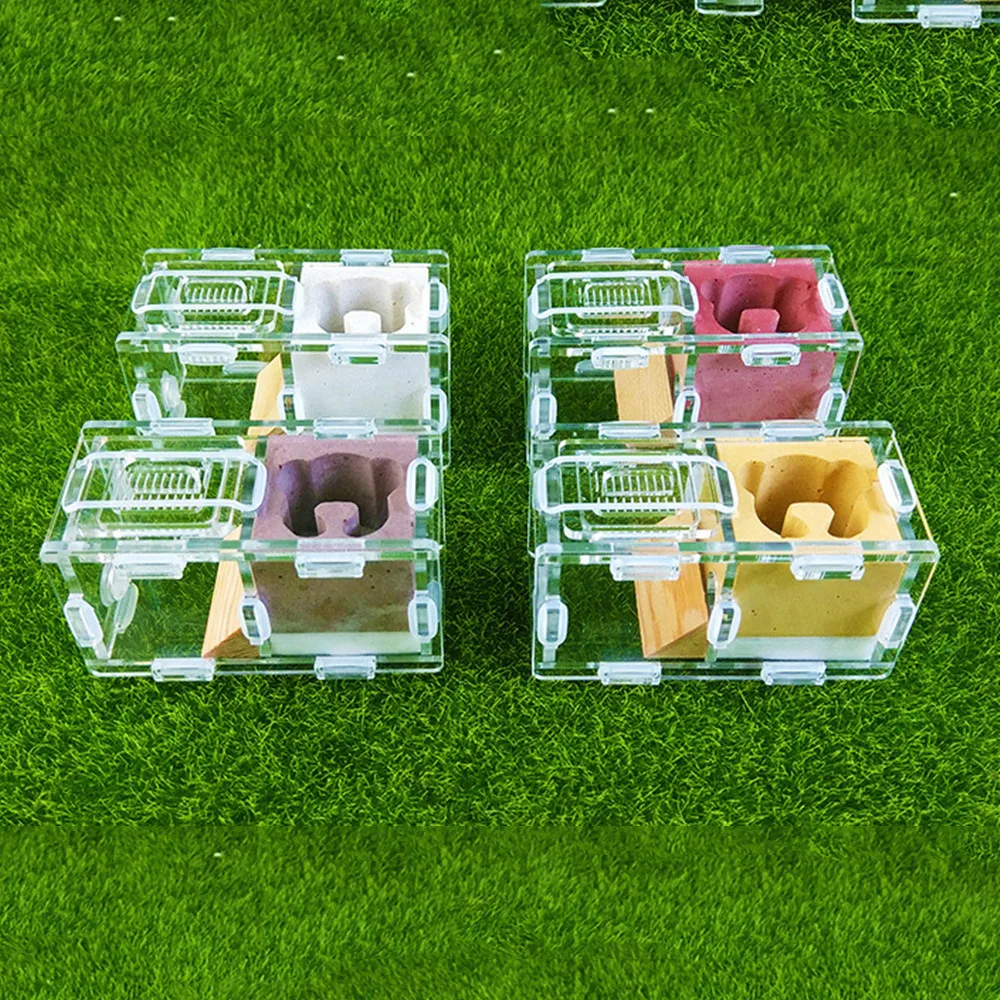 Small Ant Farm Bionic Acrylic Ant Nest Science Experiment Formicarium Insect Nest Ant Castle NEW STYLE
Small Ant Farm Bionic Acrylic Ant Nest Science Experiment Formicarium Insect Nest Ant Castle NEW STYLE