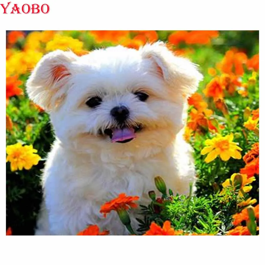 round Daimond Painting,Cross-stitch"Malta dog"3D diy Diamond Painting Full square Rhinestones mosaic Paintings Embroidery sale
round Daimond Painting,Cross-stitch"Malta dog"3D diy Diamond Painting Full square Rhinestones mosaic Paintings Embroidery sale
