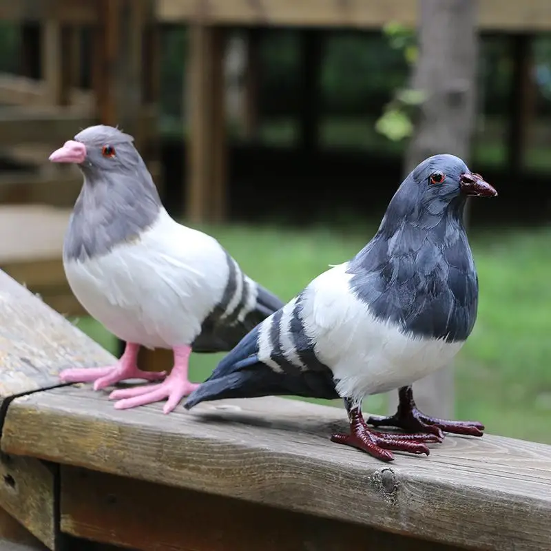 The simulation teaching model of pigeon dove ornaments Home Furnishing wedding decoration decorative art creative garden party s
The simulation teaching model of pigeon dove ornaments Home Furnishing wedding decoration decorative art creative garden party s