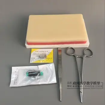 educational equipment skin model with Surgical suture training kit debridement suture instrument package
educational equipment skin model with Surgical suture training kit debridement suture instrument package