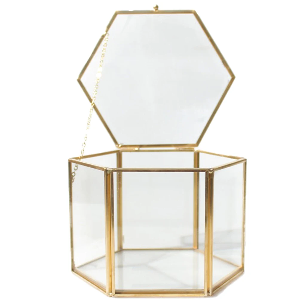Cube Hexagon Clear Glass Brass Geometric Terrarium Fern Moss Succulent Plant Planter Box Pot Container Air Plant Holder Cube Hexagon Clear Glass Brass Geometric Terrarium Fern Moss Succulent Plant Planter Box Pot Container Air Plant Holder