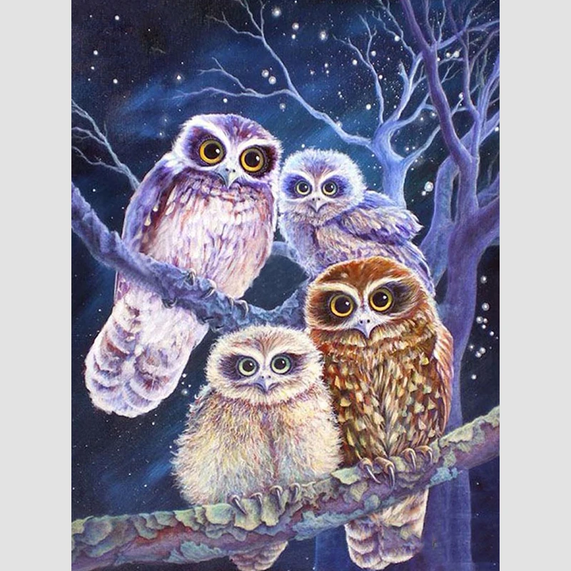 FUYUN 5D DIY Diamond Paintings Full Round Diamond Embroidery winter owls Sale Diamond Mosaic Cross Stitch Set animals Home Decor
FUYUN 5D DIY Diamond Paintings Full Round Diamond Embroidery winter owls Sale Diamond Mosaic Cross Stitch Set animals Home Decor