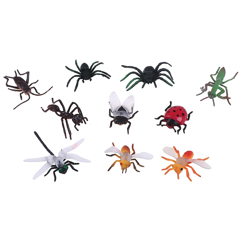 10Pcs Plastic Insect Model Toys Set Party Tricks Mini Animal Educational Play Toy Great Gift For Children
10Pcs Plastic Insect Model Toys Set Party Tricks Mini Animal Educational Play Toy Great Gift For Children