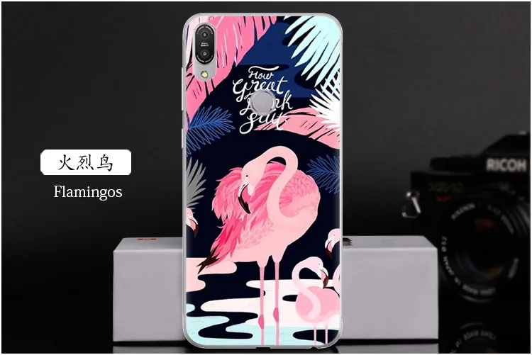 Flamingos