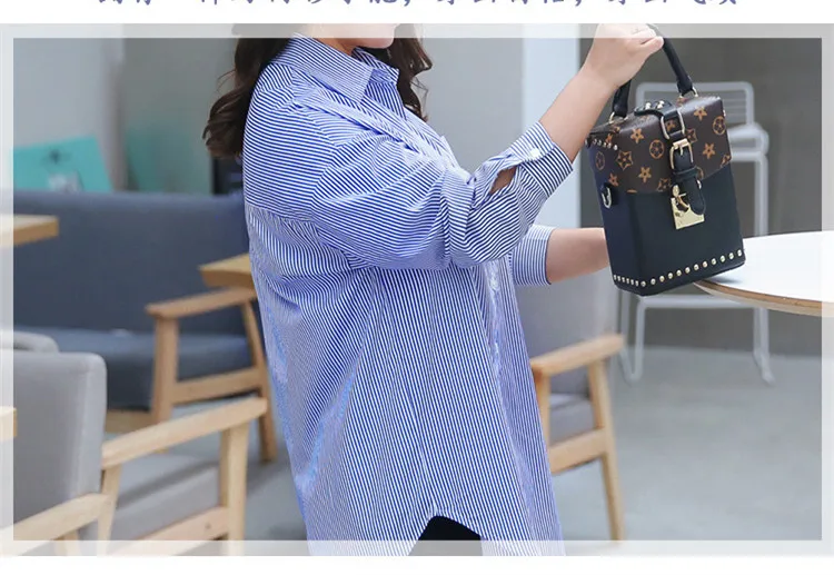 4422027491_109300481