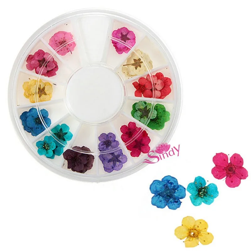 HTB100wQGVXXXXbCXXXXq6xXFXXXT