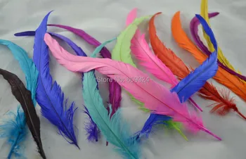 Free shipping red black hot pink orange purple turquoise royal blue 100pcs/lot 30-35cm rooster tail Feather coque feather
Free shipping red black hot pink orange purple turquoise royal blue 100pcs/lot 30-35cm rooster tail Feather coque feather