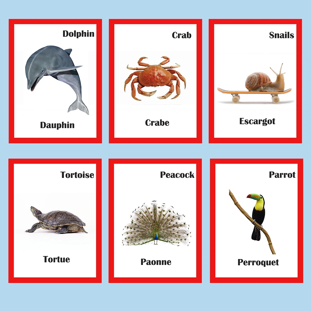 30Pcs Kids French/English Animals Learning Card Flashcards Games Educational for Kids Children Juguetes Educativos Children Toys
30Pcs Kids French/English Animals Learning Card Flashcards Games Educational for Kids Children Juguetes Educativos Children Toys