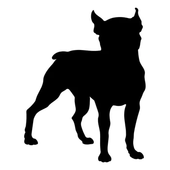 12.1*15.4CM Boston Terrier Dog Vinyl Decal Creative Car Stickers Truck Car Styling Accessories Black/Silver S1-0403
12.1*15.4CM Boston Terrier Dog Vinyl Decal Creative Car Stickers Truck Car Styling Accessories Black/Silver S1-0403
