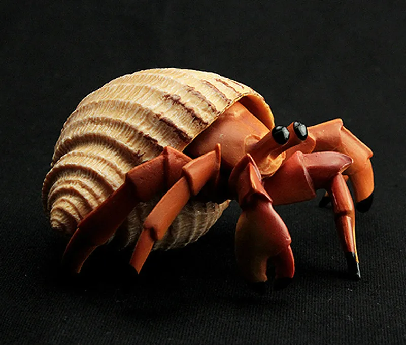 Toys Hermit Crab Simulation Model Marine Animals Sea Animal Kids Gift Educational Props Action Figures
Toys Hermit Crab Simulation Model Marine Animals Sea Animal Kids Gift Educational Props Action Figures