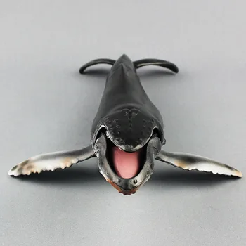 Marine Humpback Whale Ocean Education Animal Figure Model Kids Children Toy Gifts Hogard OC25
Marine Humpback Whale Ocean Education Animal Figure Model Kids Children Toy Gifts Hogard OC25