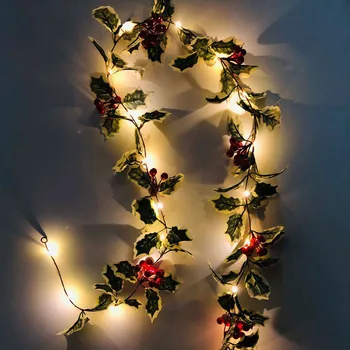 Red Fruit Rattan Party Window Garden Decoration Coppers Wire Lamp led string lights Home lighting string decoration
Red Fruit Rattan Party Window Garden Decoration Coppers Wire Lamp led string lights Home lighting string decoration