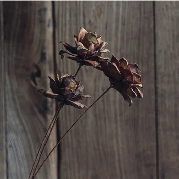 3 Pieces Rose Handmade Natural Shell Combination With Long Wood Rod Natural Wood Art Decorative Dried Flower Shooting Props
3 Pieces Rose Handmade Natural Shell Combination With Long Wood Rod Natural Wood Art Decorative Dried Flower Shooting Props