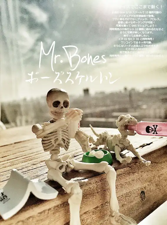 Cute Fashion Design Mr Bones Pose Skeleton Human Skeleton Model