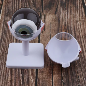 3 Times Enlarged Human Eye Model Eyeball Structure Model, 6 Parts Removable Eye Ball Figurine School Learning Tool Teaching Aids
3 Times Enlarged Human Eye Model Eyeball Structure Model, 6 Parts Removable Eye Ball Figurine School Learning Tool Teaching Aids