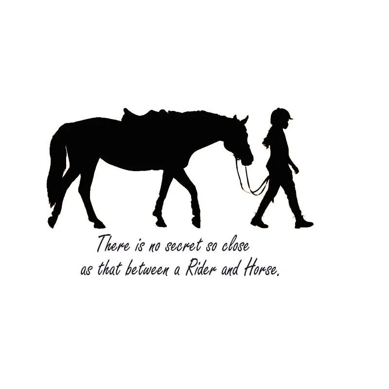 There Is No Secret So Close Girl And Horse Wall Stickers Bedroom Removable Vinyl Removable Wall Decals
There Is No Secret So Close Girl And Horse Wall Stickers Bedroom Removable Vinyl Removable Wall Decals