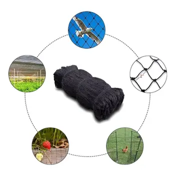 15x7.5m Anti Bird Catcher Netting Net Bird-Preventing Traps Crops Fruit Tree Flower Garden Mesh Protect
15x7.5m Anti Bird Catcher Netting Net Bird-Preventing Traps Crops Fruit Tree Flower Garden Mesh Protect