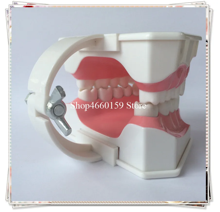 teeth brushing model-3
