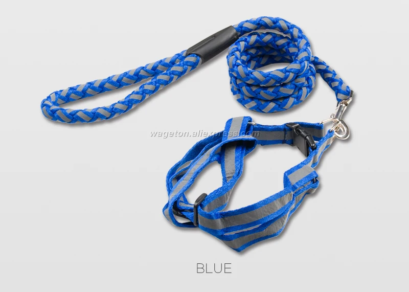 12 dog chain blue