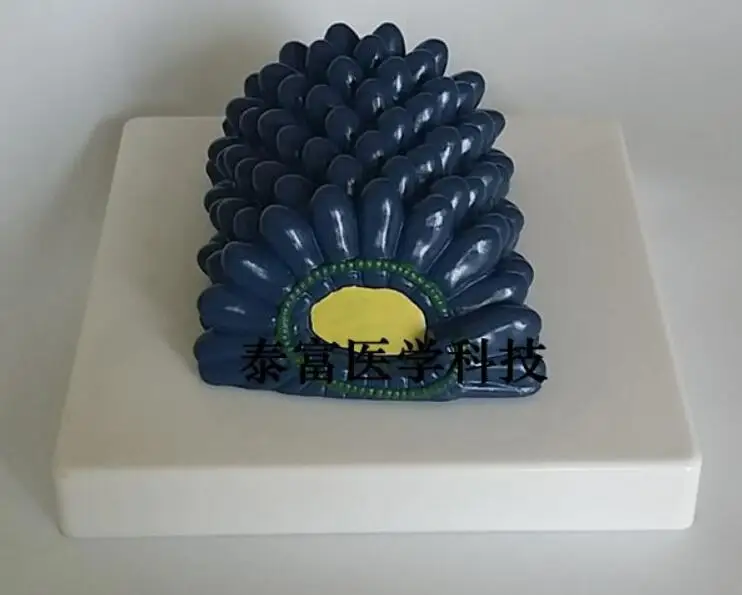 QQ20181213133303