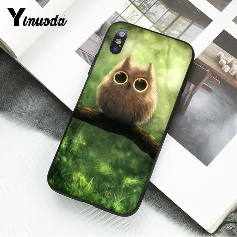 Animal Cute Cartoon Owl