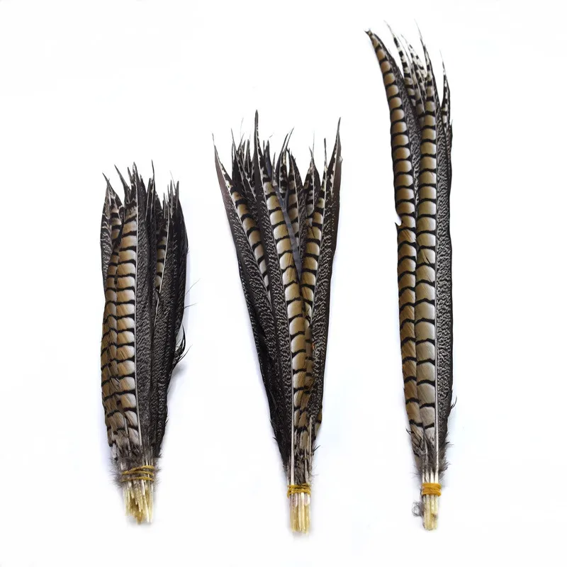 Wholesale 10 Pcs Natural Lady Amherst Pheasant Feathers 10-120CM natural pheasant feathers craft wedding feathers decor plumes 
Wholesale 10 Pcs Natural Lady Amherst Pheasant Feathers 10-120CM natural pheasant feathers craft wedding feathers decor plumes
