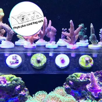 Phyto Plus Coral Frag SPS Support Stand Bracket Acrylic Strong Suction cup Fix Aquarium Fish Tank Reef Inclined Plane
Phyto Plus Coral Frag SPS Support Stand Bracket Acrylic Strong Suction cup Fix Aquarium Fish Tank Reef Inclined Plane