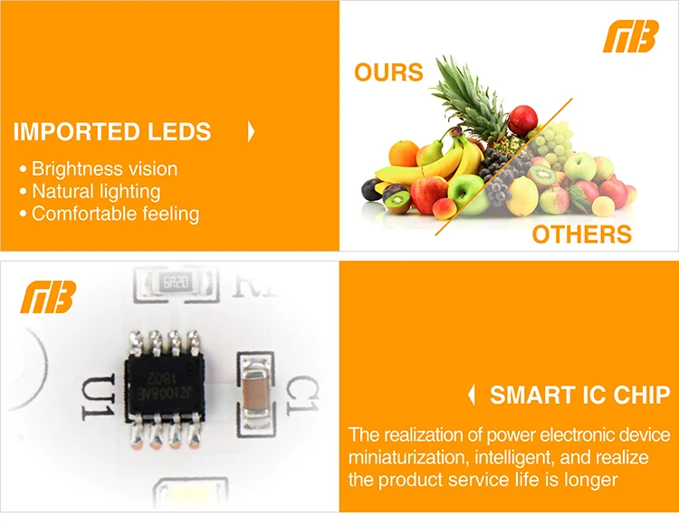 LED Down Light_TD-01 Chip_20