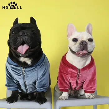 HSWLL Autumn and winter dog clothes puppy gold velvet plus velvet sweater sweater baseball uniform French bulldog
HSWLL Autumn and winter dog clothes puppy gold velvet plus velvet sweater sweater baseball uniform French bulldog