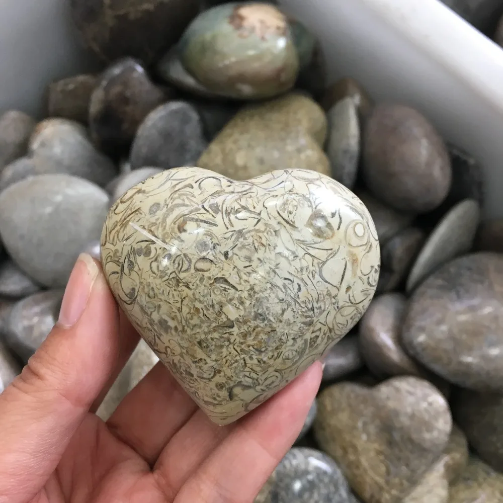 Dinosaur Bone Fossil Heart Natural Fossil Stone Smooth Polished Pebble Reiki Healing Chakra Stone Home Decoration
Dinosaur Bone Fossil Heart Natural Fossil Stone Smooth Polished Pebble Reiki Healing Chakra Stone Home Decoration