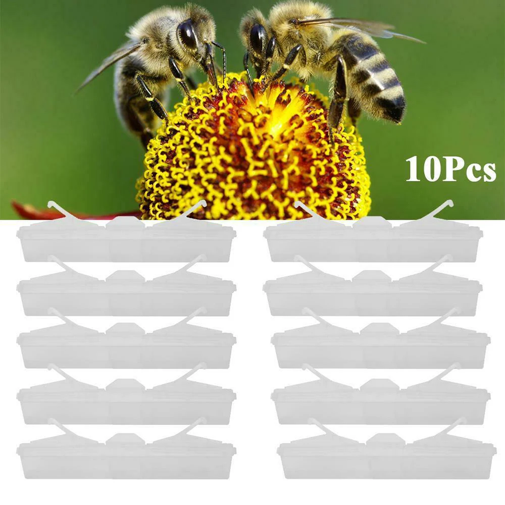 10pcs/pack Insect Bee Trap Baitable Transparent Gardening Traps Tools Without Pesticides Hive Beetle No Poisons Catch Beetle
10pcs/pack Insect Bee Trap Baitable Transparent Gardening Traps Tools Without Pesticides Hive Beetle No Poisons Catch Beetle