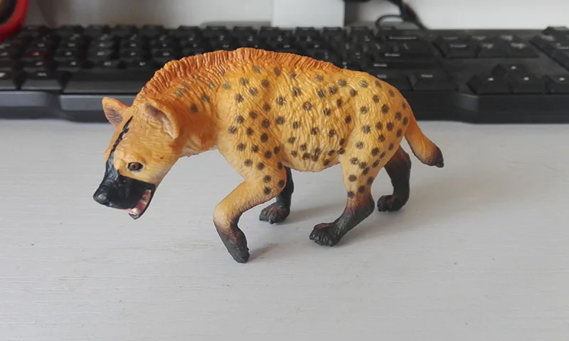 Original genuine wild animal african hyena model collectible figures kids pre-school toys children educational gift
Original genuine wild animal african hyena model collectible figures kids pre-school toys children educational gift