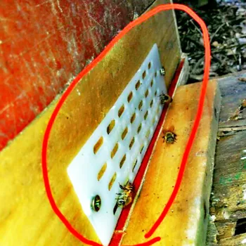 100 PCS/LOT Beekeeping AND Bee Beehive King BOX Separator Barrier Fence Tools Supplies WILD Animal Products
100 PCS/LOT Beekeeping AND Bee Beehive King BOX Separator Barrier Fence Tools Supplies WILD Animal Products