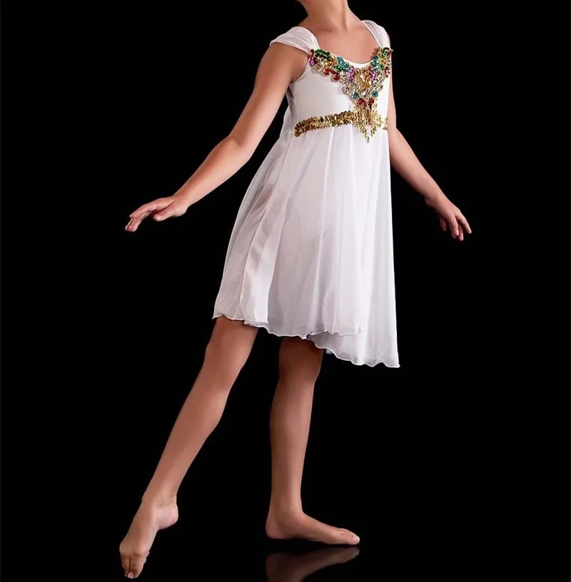 New Elegant Lyrical Modern Dance Ballerine Dress Swan Lake Ballet Costume Sky Blue Pink White Red Ballet Clothes For Kids
New Elegant Lyrical Modern Dance Ballerine Dress Swan Lake Ballet Costume Sky Blue Pink White Red Ballet Clothes For Kids