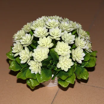 Cute mini bonsai simulation simulation of green plants potted coffee shop table simulation bonsai simulation flowers quality
Cute mini bonsai simulation simulation of green plants potted coffee shop table simulation bonsai simulation flowers quality