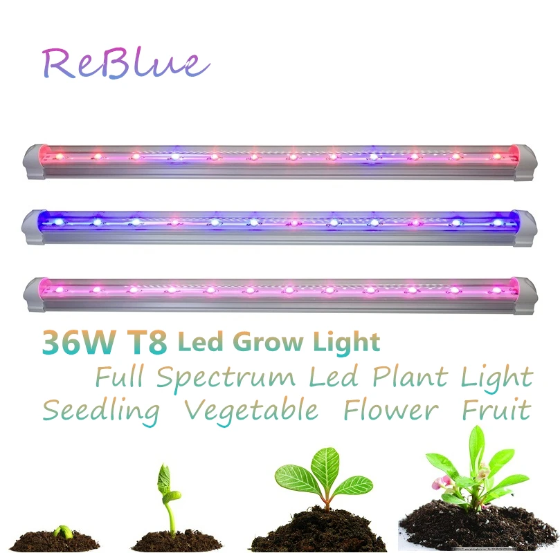 ReBlue Led Grow Light Phyto-Lamp 36W T8 Lamp For Plants Grow Light For Flower Seedling Full Spectrum Grow Led For Plants indoor
ReBlue Led Grow Light Phyto-Lamp 36W T8 Lamp For Plants Grow Light For Flower Seedling Full Spectrum Grow Led For Plants indoor