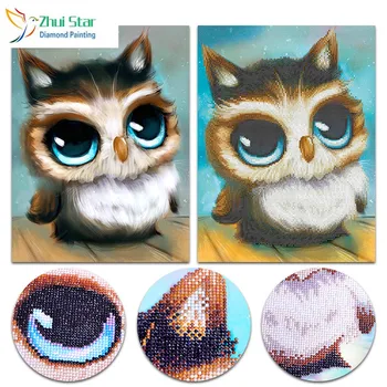 Zhui Star 5D DIY Partial Diamond painting cross owl Diamonds mosaic Shiny Rhinestone Embroidery Christmas Home decor
Zhui Star 5D DIY Partial Diamond painting cross owl Diamonds mosaic Shiny Rhinestone Embroidery Christmas Home decor
