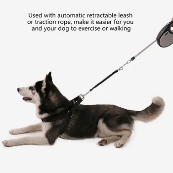 PAWZRoad 2pcs Pet Dog Black Adjustable Leash Buffer Belt Solid Safety Elastic Buffer Leash for Large Dog Walking Dog Accessories
PAWZRoad 2pcs Pet Dog Black Adjustable Leash Buffer Belt Solid Safety Elastic Buffer Leash for Large Dog Walking Dog Accessories