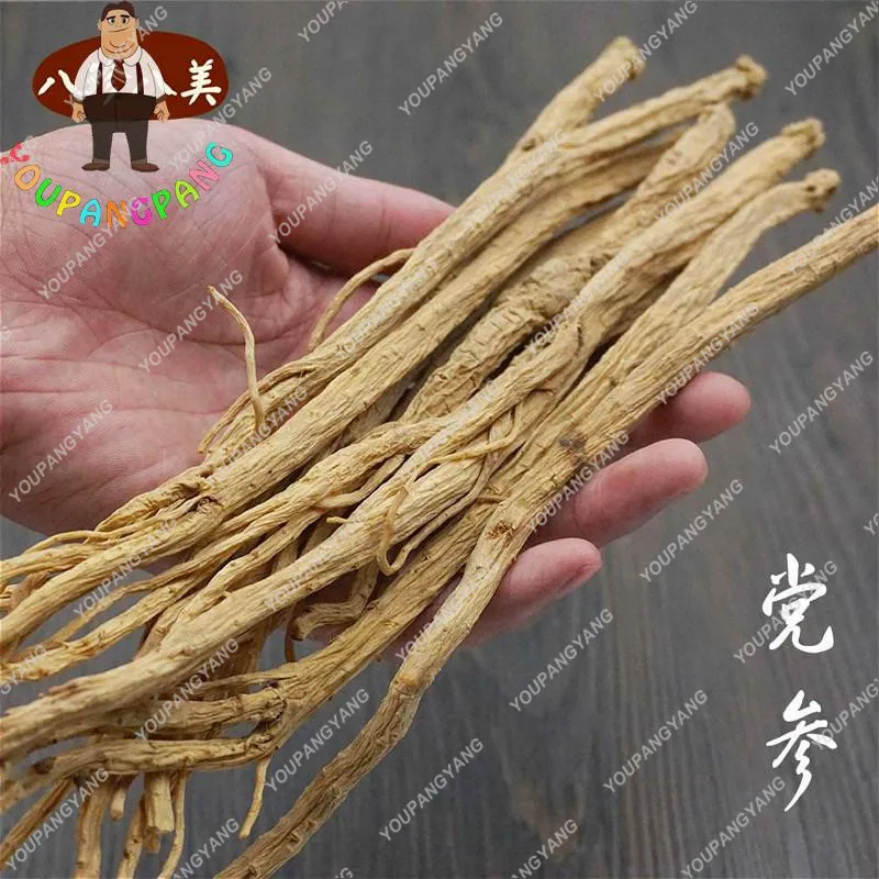 100pcs Real Codonopsis Pilosula bonsai Bonsai (Traditional Chinese Medicine) Anti Cancer hearb Plants for Garden Flowers bonsai
100pcs Real Codonopsis Pilosula bonsai Bonsai (Traditional Chinese Medicine) Anti Cancer hearb Plants for Garden Flowers bonsai