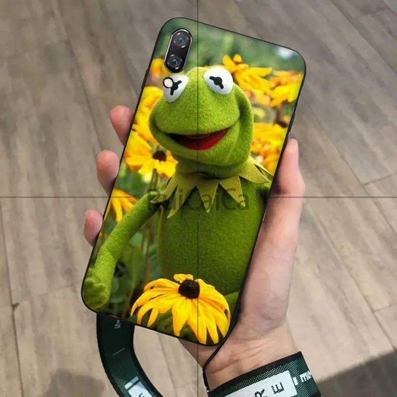 Kermit frog
