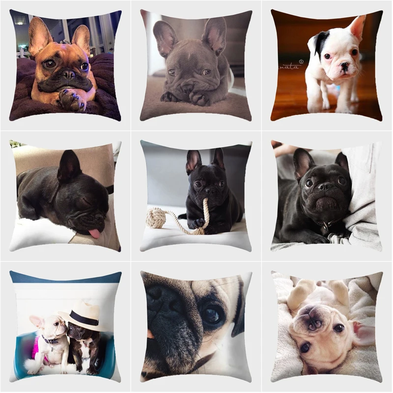 Bulldog frances Cushion Cover Modern French Bulldog Pillowcase Woven Pillow Covers Polyester Home Decor Drop Shipping
Bulldog frances Cushion Cover Modern French Bulldog Pillowcase Woven Pillow Covers Polyester Home Decor Drop Shipping