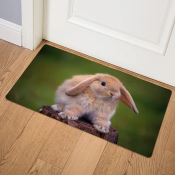 Cute Holland Lop Rabbit PVC Leather Mats 46*76cm Waterproof Kitchen Carpet Entrance Non Slip Living Room Decor Animals Door Mat
Cute Holland Lop Rabbit PVC Leather Mats 46*76cm Waterproof Kitchen Carpet Entrance Non Slip Living Room Decor Animals Door Mat
