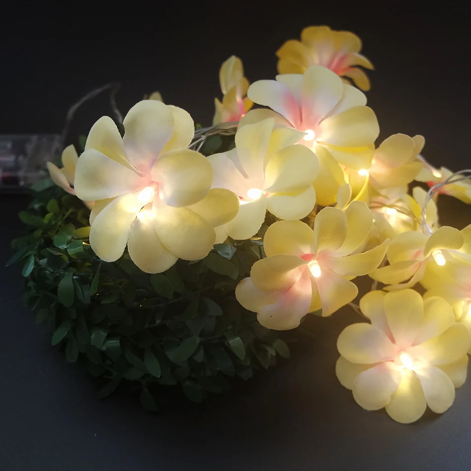 Fashion frangipani flower garland with led light 5 meter 40leds, Wedding decoration,Kids room flower decor. Event Party light
Fashion frangipani flower garland with led light 5 meter 40leds, Wedding decoration,Kids room flower decor. Event Party light
