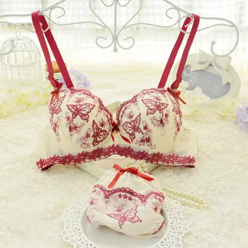 Sexy High Quality Europe Style Women Embroidery Bra Set Sexy Deep V Push Up Set Body Shape Underwear Free shipping
Sexy High Quality Europe Style Women Embroidery Bra Set Sexy Deep V Push Up Set Body Shape Underwear Free shipping