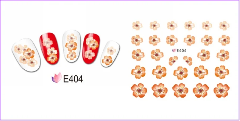 E404