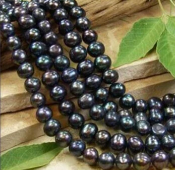 Hot sell ->@@ N387 8-9MM Black Akoya Pearl Round Loose Beads 15" 5pc -Top quality free shipping
Hot sell ->@@ N387 8-9MM Black Akoya Pearl Round Loose Beads 15" 5pc -Top quality free shipping