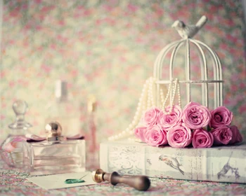Pink Rose Backdrop Photography backdrops Art Fabric Newborn Photography Props Photo Props Photo Backdrops Xt-5140
Pink Rose Backdrop Photography backdrops Art Fabric Newborn Photography Props Photo Props Photo Backdrops Xt-5140