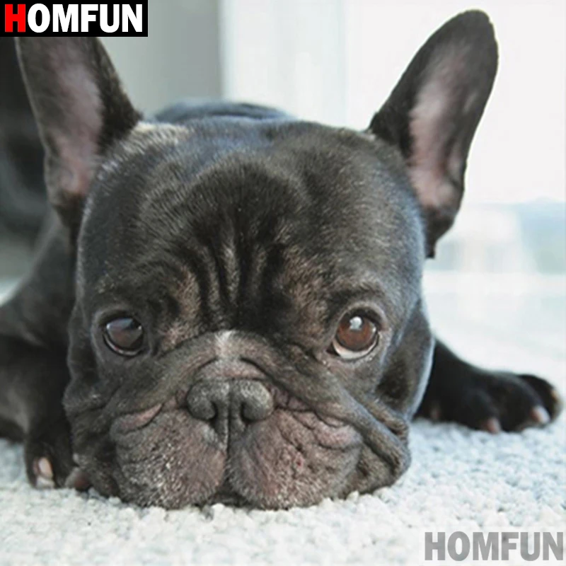 HOMFUN Full Square/Round Drill 5D DIY Diamond Painting "dog" Embroidery Cross Stitch 5D Home Decor A06180
HOMFUN Full Square/Round Drill 5D DIY Diamond Painting "dog" Embroidery Cross Stitch 5D Home Decor A06180
