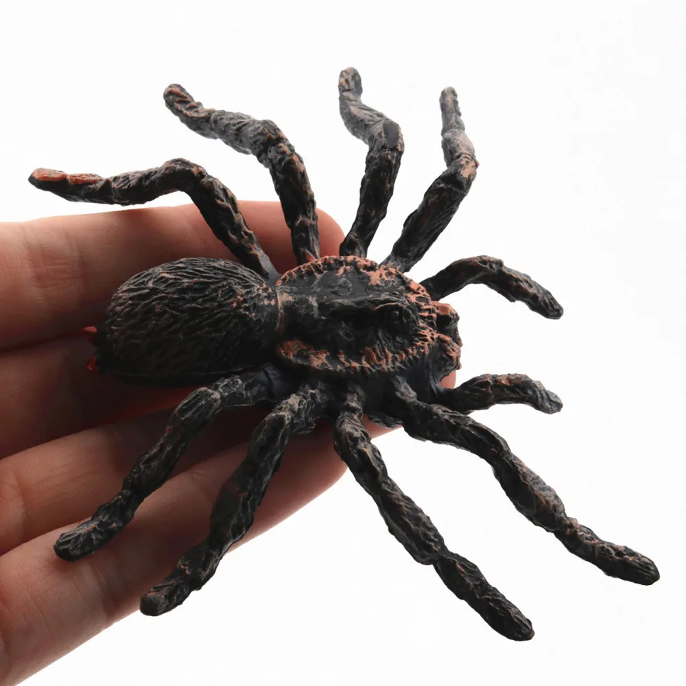 REikirc Insects toy Brazilian White-headed Spider Action & Toy Figures Animal Model Learning & Educational Children's Toys
REikirc Insects toy Brazilian White-headed Spider Action & Toy Figures Animal Model Learning & Educational Children's Toys